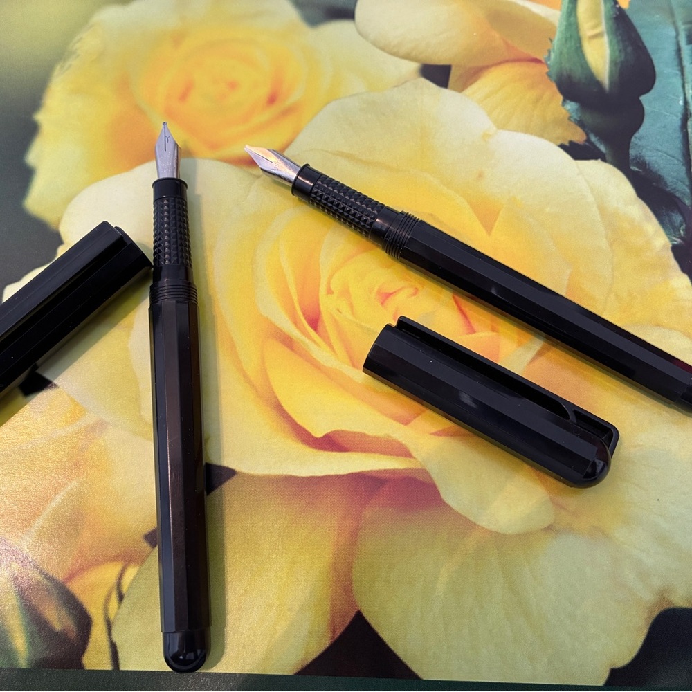 NWOT Elegant Black Fountain Pen Set (set of 2)
